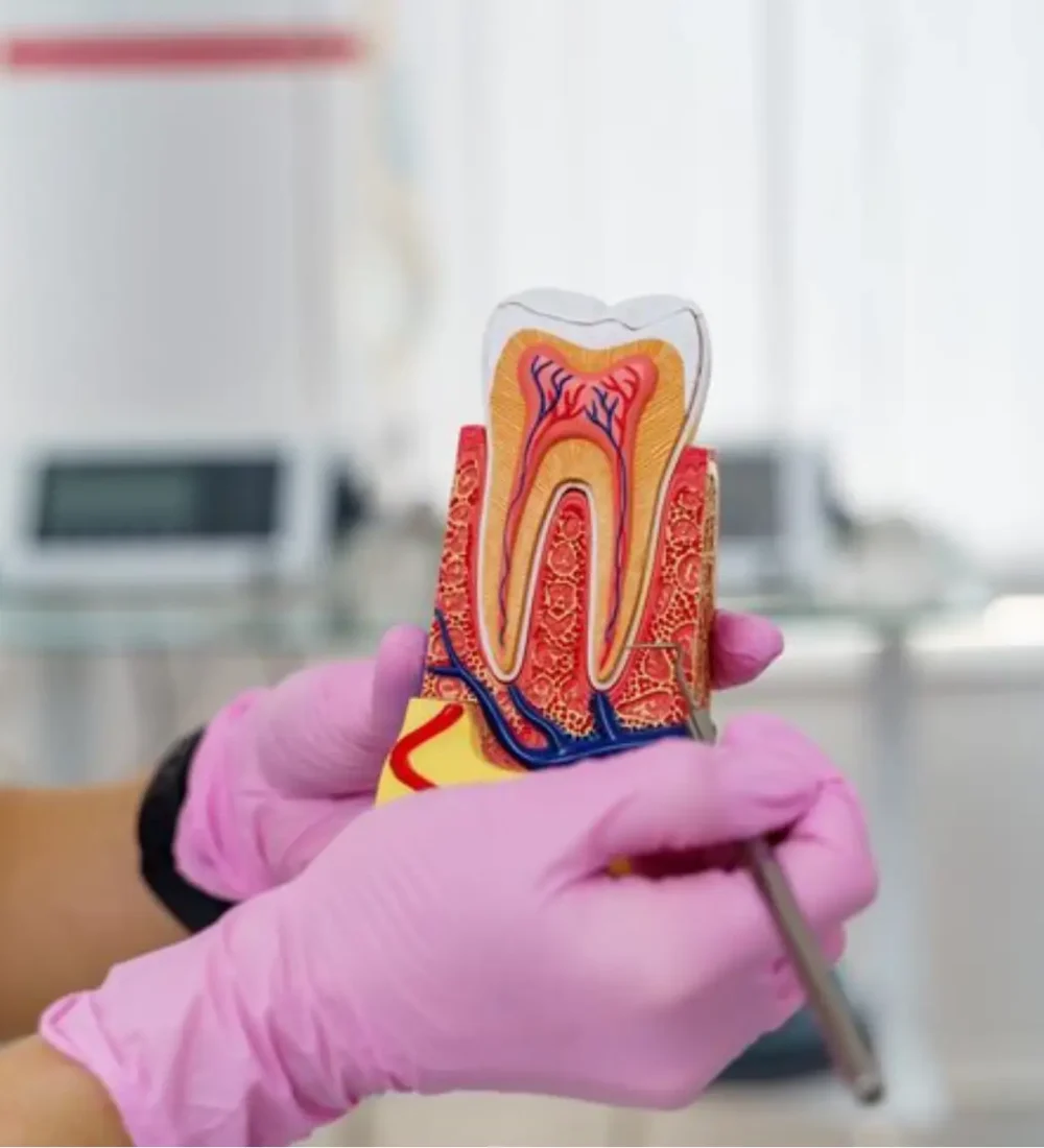 endodontics